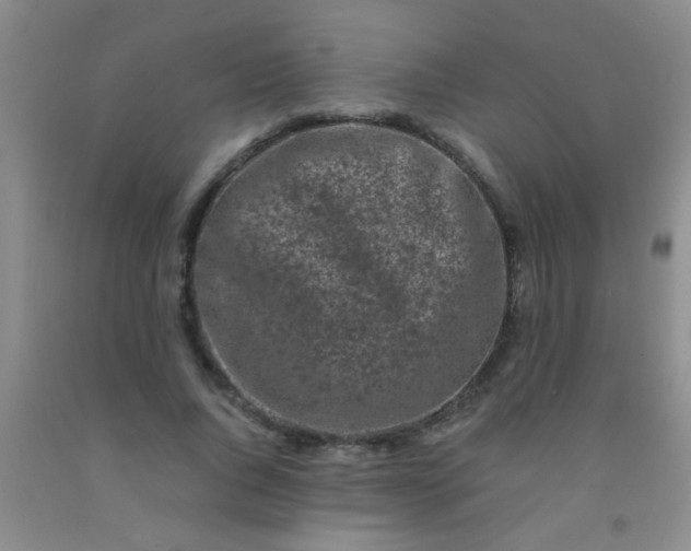 X0000092020736200709201551