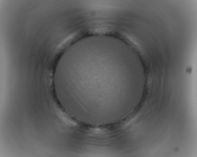 X0000092020737200709201551