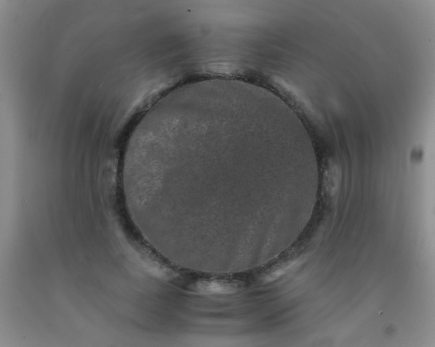 X0000092020739200709201551