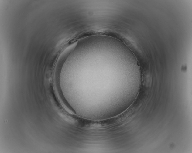 X0000092020740200709201551