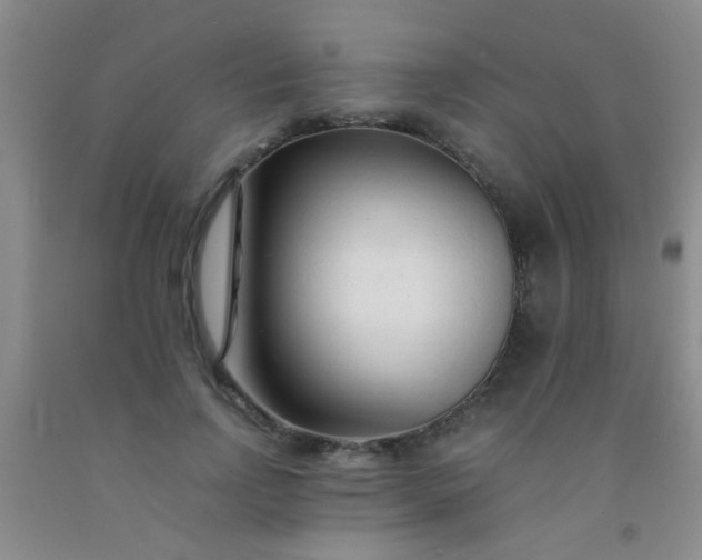 X0000092020742200709201551