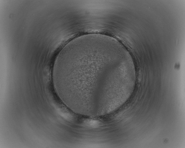 X0000092020743200709201551