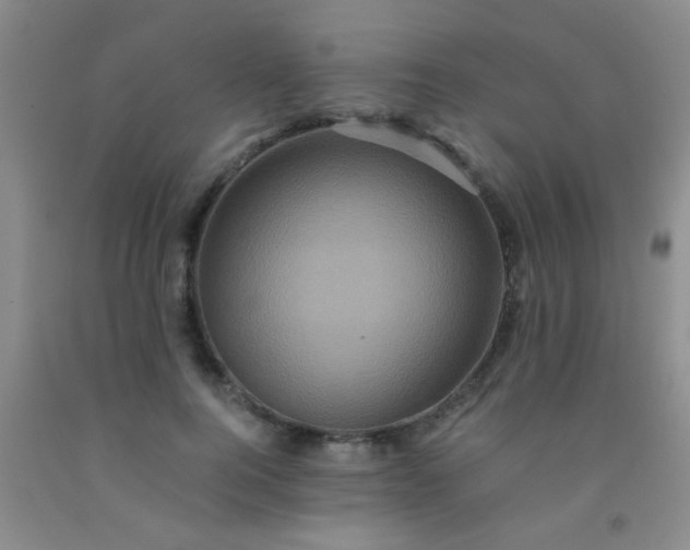 X0000092020744200709201551