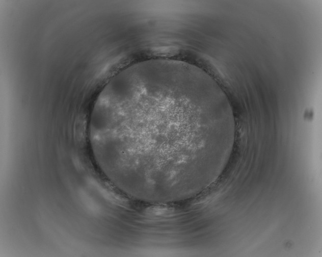 X0000092020745200709201551