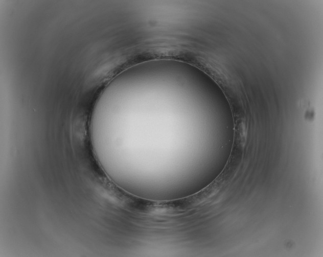 X0000092020746200709201551