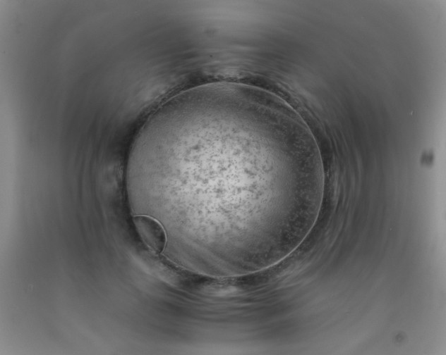 X0000092020747200709201551