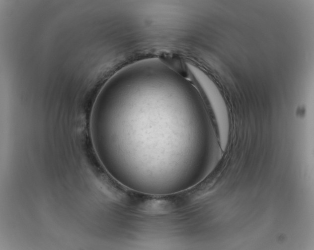 X0000092020748200709201551