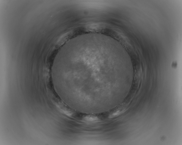 X0000092020749200709201551