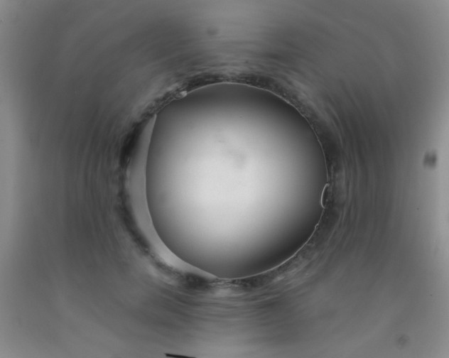 X0000092020750200709201551