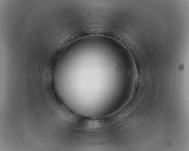 X0000092020751200709201551