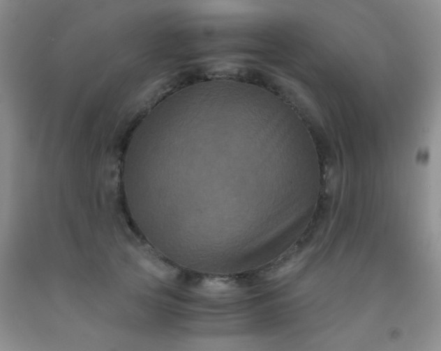 X0000092020753200709201551