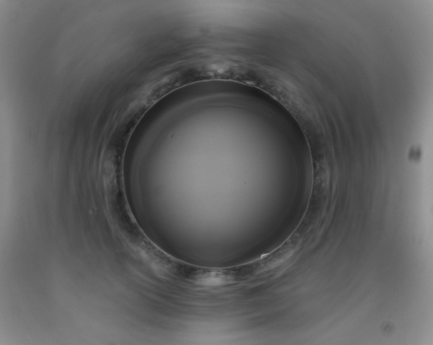 X0000092020754200709201551