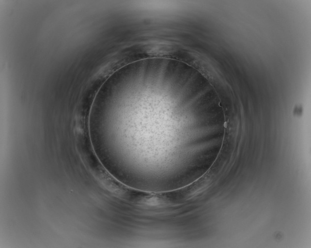 X0000092020755200709201551