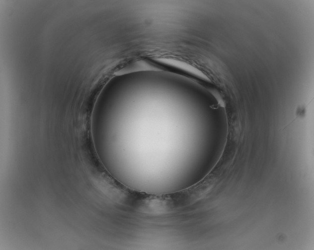 X0000092020756200709201551