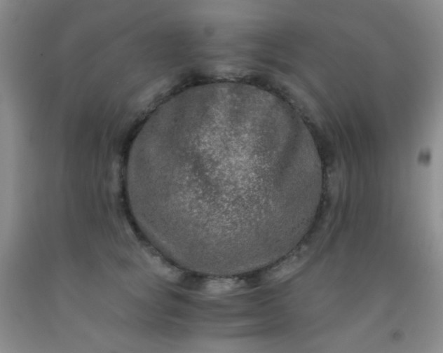 X0000092020757200709201551