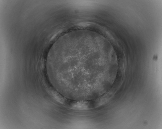 X0000092020758200709201551