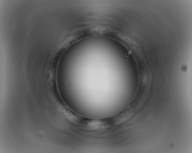 X0000092020759200709201551