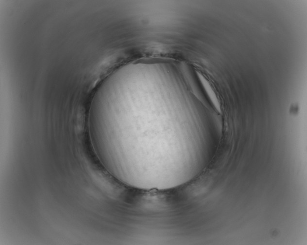 X0000092020760200709201551