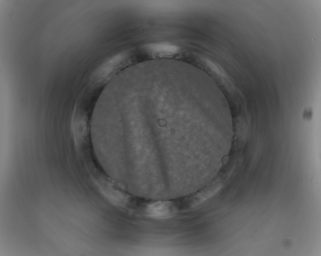 X0000092020761200709201551