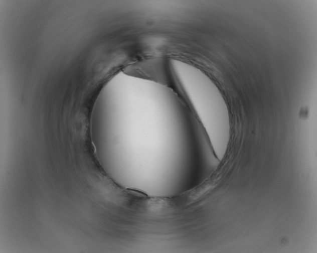 X0000092020762200709201551