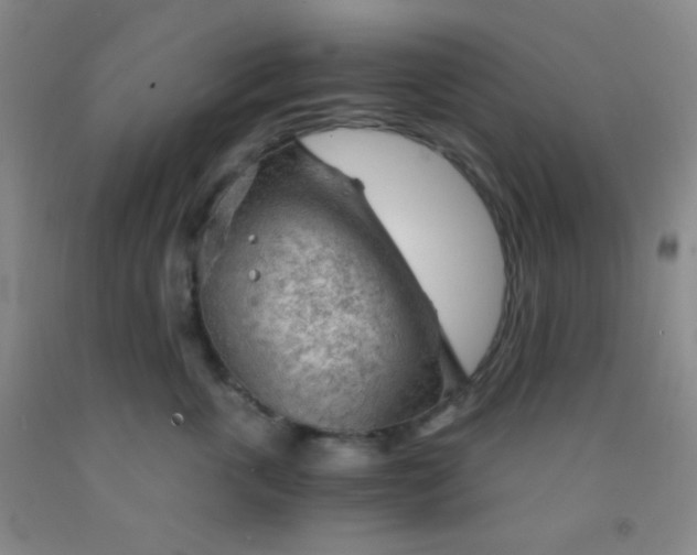 X0000092020763200709201551