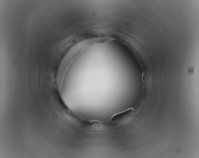 X0000092020764200709201551