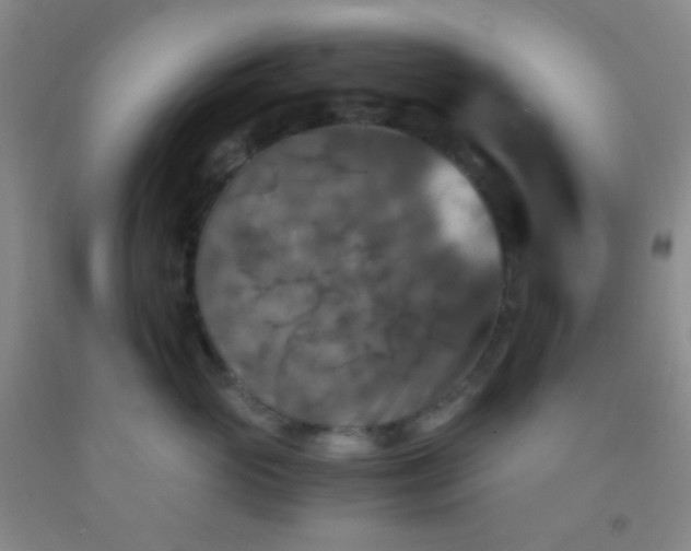 X0000092020765200709201551