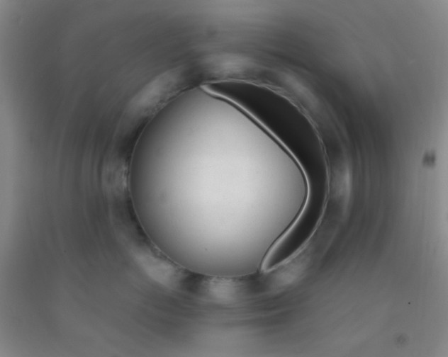 X0000092020766200709201551