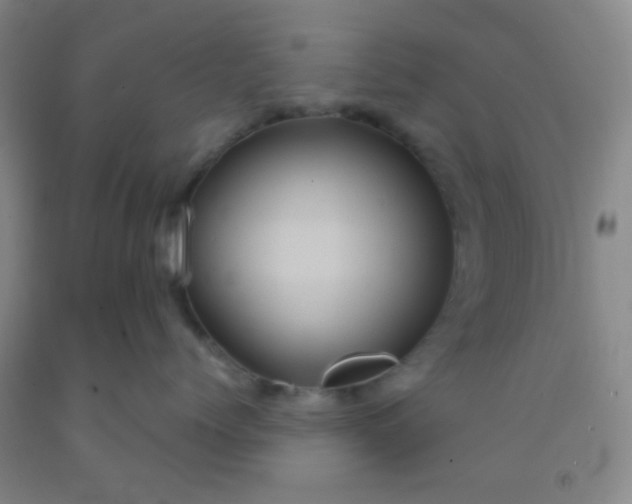 X0000092020768200709201551