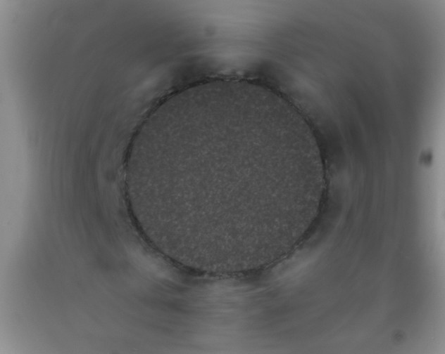 X0000092020769200709201551