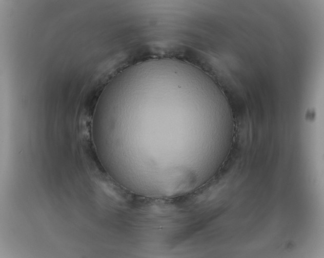 X0000092020770200709201551