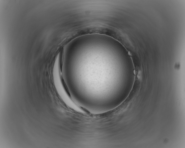 X0000092020771200709201551