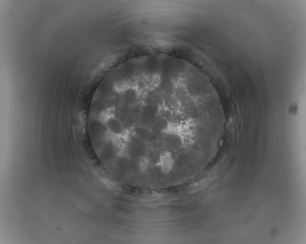 X0000092020772200709201551