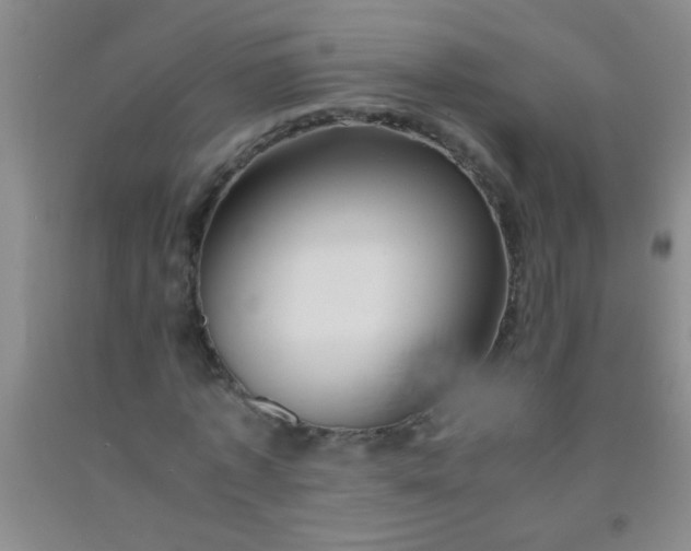 X0000092020773200709201551