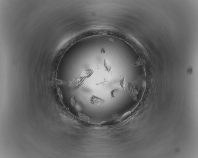 X0000092020775200709201551