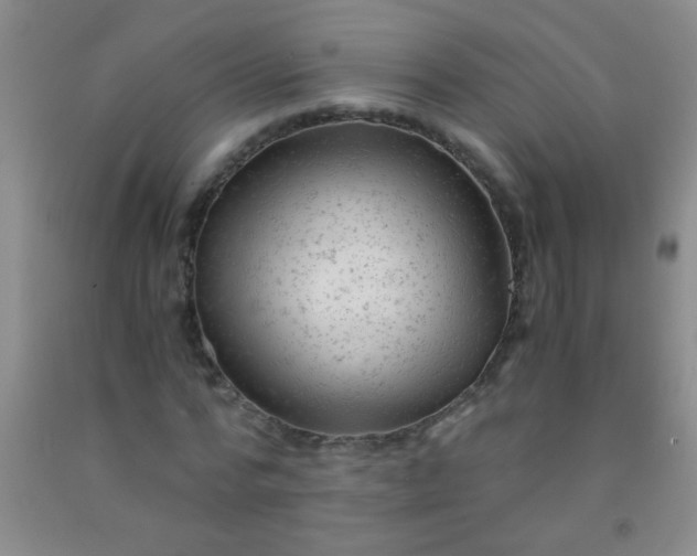 X0000092020776200709201551