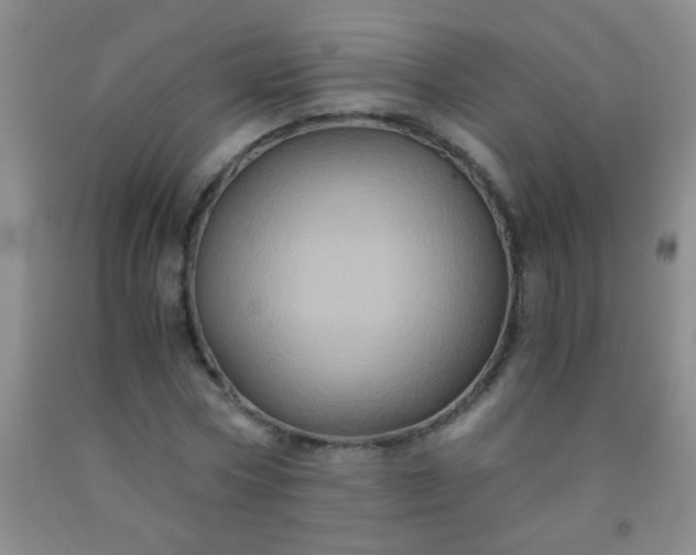 X0000092020778200709201551