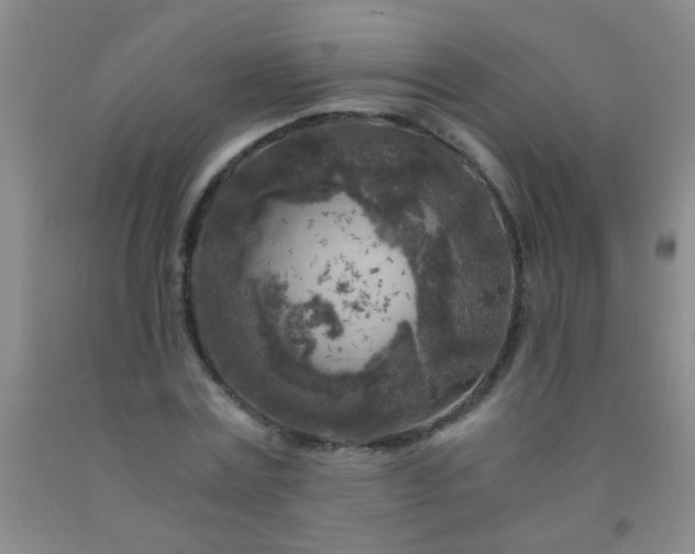 X0000092020779200709201551