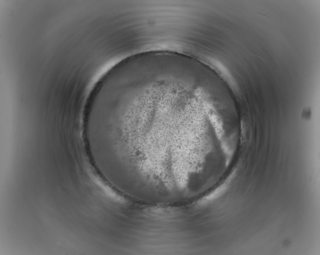 X0000092020780200709201551