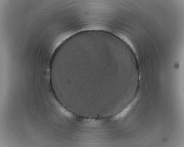 X0000092020781200709201551