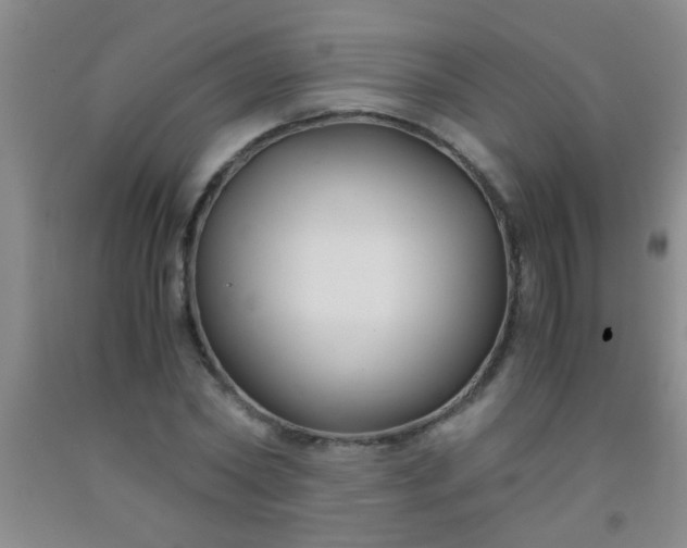 X0000092020782200709201551