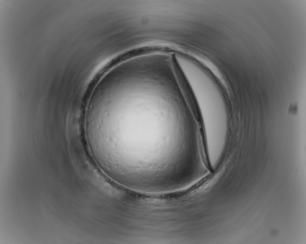 X0000092020783200709201551