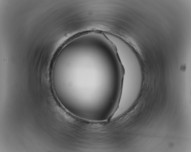 X0000092020784200709201551