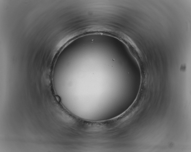 X0000092020786200709201551