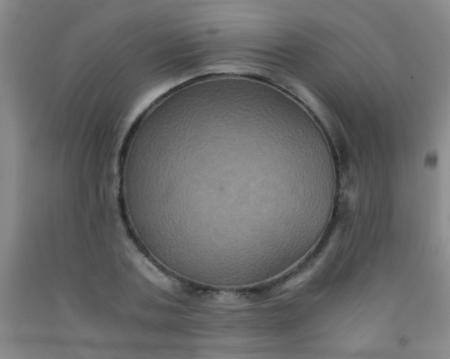 X0000092020787200709201551