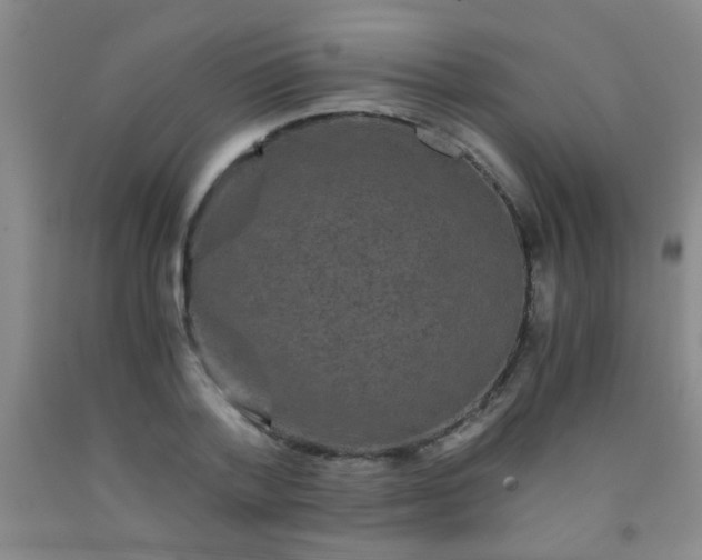 X0000092020788200709201551