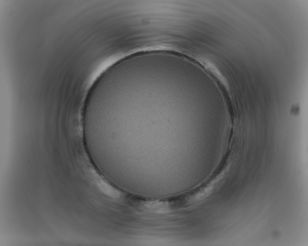 X0000092020789200709201551