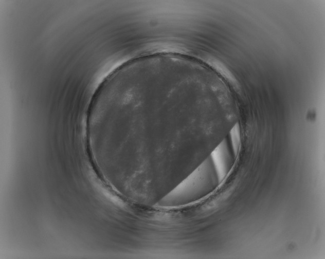 X0000092020790200709201551