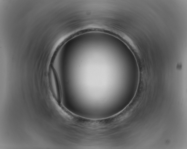 X0000092020791200709201551