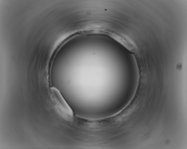 X0000092020792200709201551